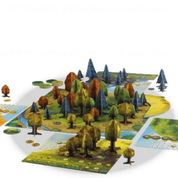 Photosynthesis - Image 2